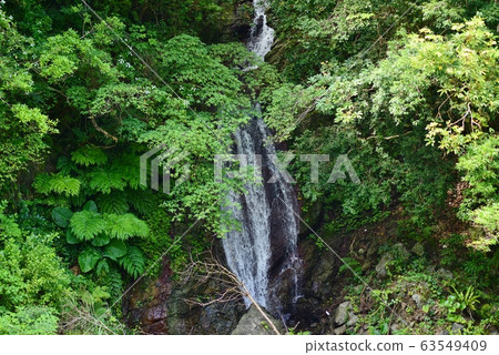 綠色的涼 63549409