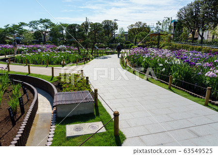 堀江鳶尾花園 堀江鳶尾花園 63549525