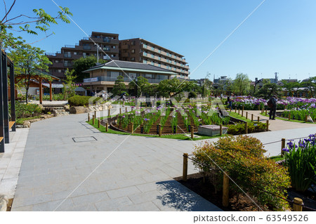堀江鳶尾花園 63549526