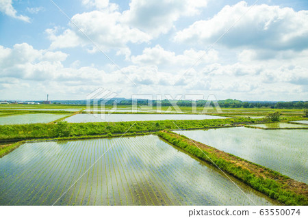 From the train window of Japan JR Gono Line Rural scenery at the time of rice planting From the train window of Japan JR Gono Line Rural scenery at the time of rice planting 63550074