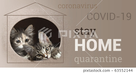 Coronavirus spread prevention concept. Two kittens peeking out of their house and a call to stay at home. Horizontal banner with text Stay Home Coronavirus spread prevention concept. Two kittens peeking out of their house and a call to stay at home. Horizontal banner with text Stay Home 63552144