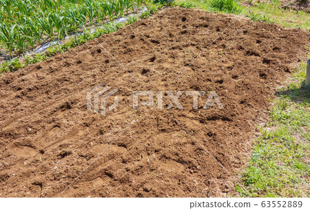 Ridge for summer vegetables Ridge for summer vegetables 63552889