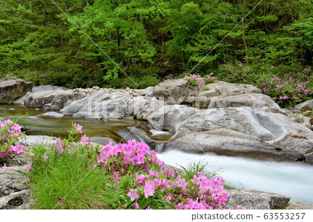 吉里桑谷水獺 吉里桑谷水獺 63553257