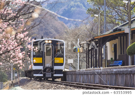 梅,水ig線(福島縣山陵山公園站到達) 梅,水ig線(福島縣山陵山公園站到達) 63553995