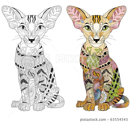 Zentangle stylized cat. Hand Drawn lace vector 63554543