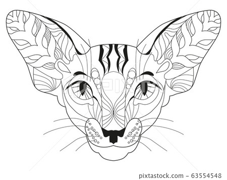Zentangle stylized head of cat. Hand Drawn lace Zentangle stylized head of cat. Hand Drawn lace 63554548