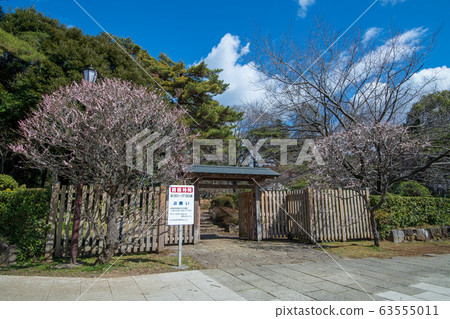 大宮公園City玉市日本花園 大宮公園City玉市日本花園 63555011