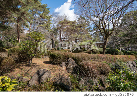 大宮公園City玉市日本花園 大宮公園City玉市日本花園 63555076