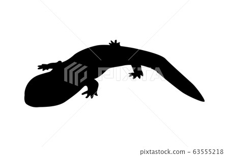 動物剪影兩棲類/爬行動物Sal 2 63555218