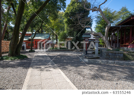 Omiya Hikawa Shrine precincts Omiya Hikawa Shrine precincts 63555246