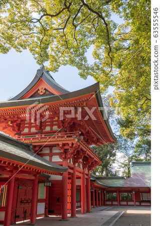 Omiya Hikawa Shrine precincts Sakuramon 63555546