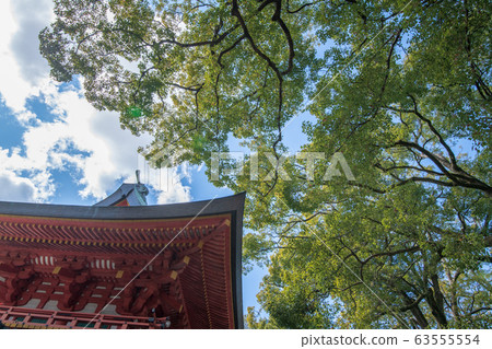 Omiya Hikawa Shrine precincts Sakuramon Omiya Hikawa Shrine precincts Sakuramon 63555554