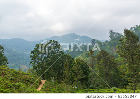 Mountain landscape, green slopes. Beauty of Mountain landscape, green slopes. Beauty of 63555847