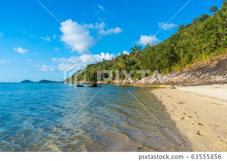 Sandy beach of a paradise deserted tropical Sandy beach of a paradise deserted tropical 63555856