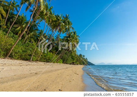 Sandy beach of a paradise deserted tropical Sandy beach of a paradise deserted tropical 63555857