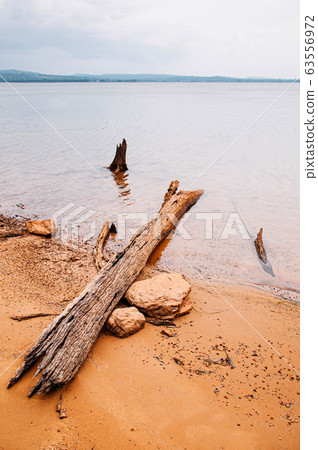 Old wood log stump on sandy shore of river or dam Old wood log stump on sandy shore of river or dam 63556972