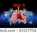 Viruses cell microbiology inflected in lugs 63557758