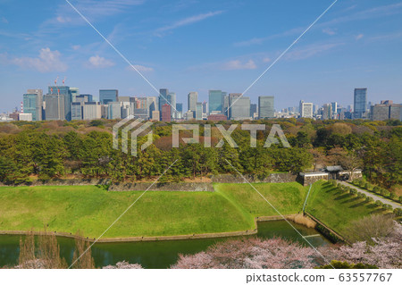 Hanzomon cherry blossoms and landscape 63557767