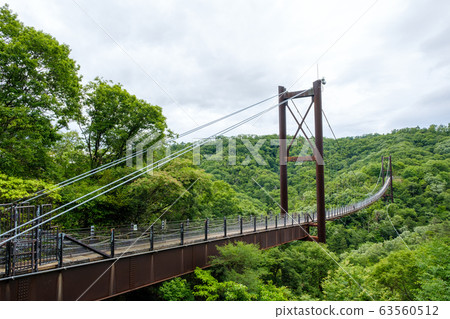 大型吊橋星空星田花園 大型吊橋星空星田花園 63560512