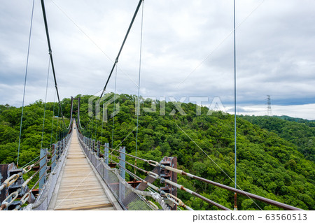 大型吊橋星空星田花園 63560513