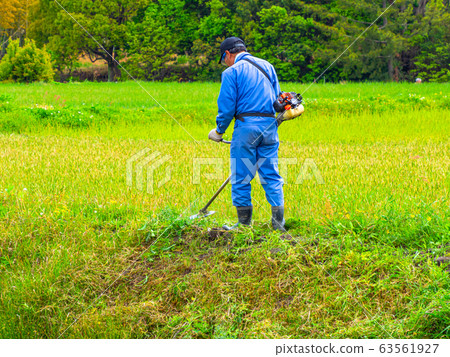 Mowing masters 63561927