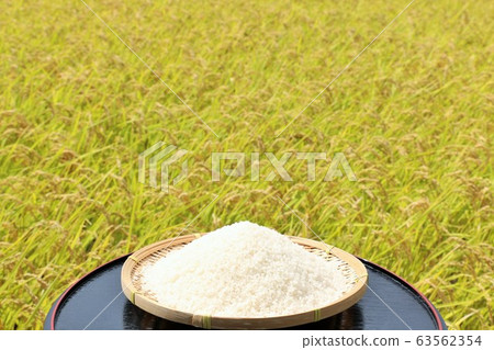 秋天米領域和碗 秋天米領域和碗 63562354