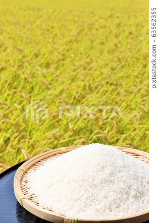 秋天米領域和碗 秋天米領域和碗 63562355