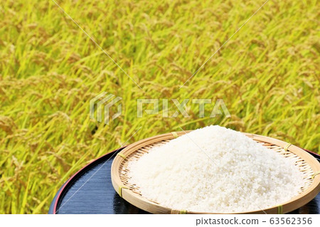Autumn rice field and bowls 63562356