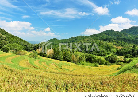Chiba Prefecture Autumn blue sky and Oyama Senmaida 63562368