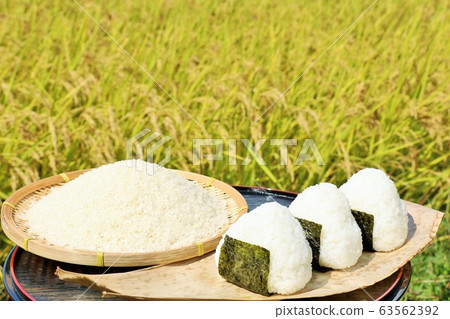 Autumn rice field and bowl of rice balls Autumn rice field and bowl of rice balls 63562392