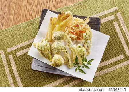 野生植物天婦羅 63562445