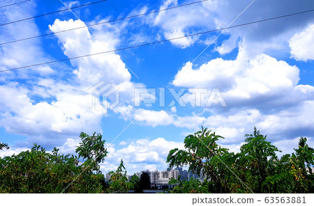 樹木，天空，雲彩，晴朗，晴朗，藍色，藍色，自然，風景 63563881