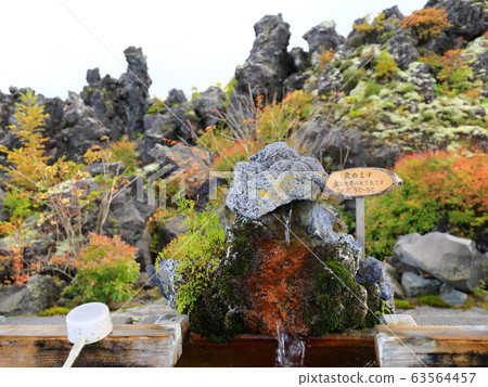 惡魔擠壓 63564457