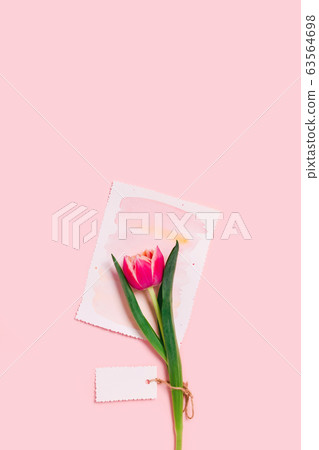 A greeting card on a pink background. A greeting card on a pink background. 63564698