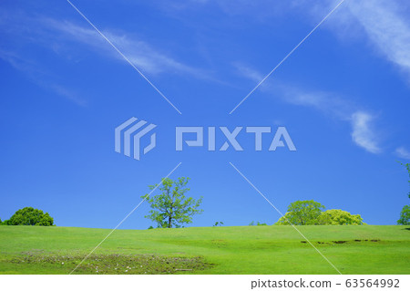 Green Hill 20 of Nara Park and Hibino 63564992