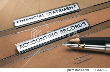 Accounting Records, Financial Statements Accounting Records, Financial Statements 63566927