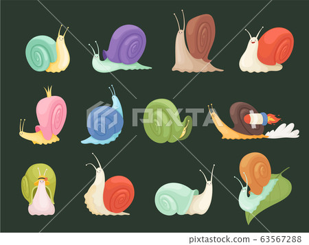 Snails characters. Cartoon insects with spiral house shell slug slime vector illustrations Snails characters. Cartoon insects with spiral house shell slug slime vector illustrations 63567288