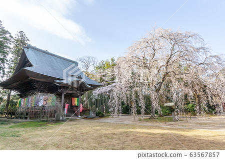 千葉市若葉區 千葉市若葉區 63567857