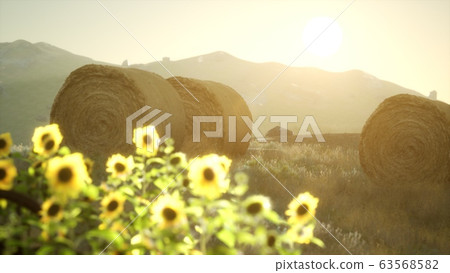 hay bales in the sunset 63568582