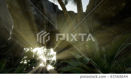 Big Palms in Stone Cave with Rays of Sunlight 63568644