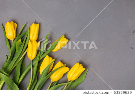 Yellow tulips on a gray concrete background. Yellow tulips on a gray concrete background. 63569629