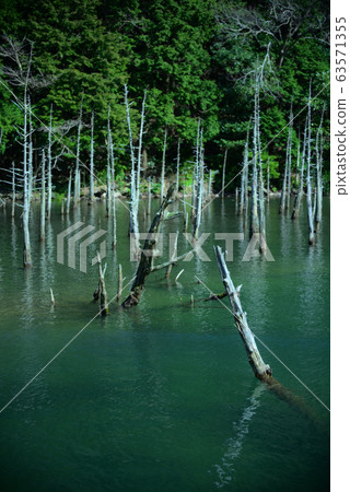 一之櫻公園方向 63571355