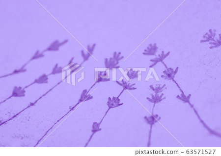 Pale violet purple background with lavender flowers pattern Pale violet purple background with lavender flowers pattern 63571527