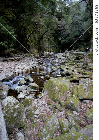 Red-Eye 48 Waterfall 63571568