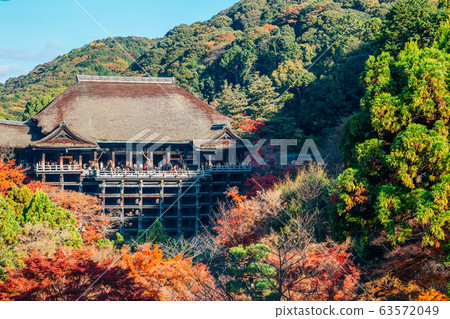 Kiyomizu-dera temple with autumn maple in Kyoto, Japan Kiyomizu-dera temple with autumn maple in Kyoto, Japan 63572049