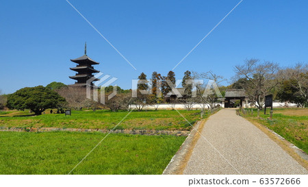 Bichinbunji 12 63572666
