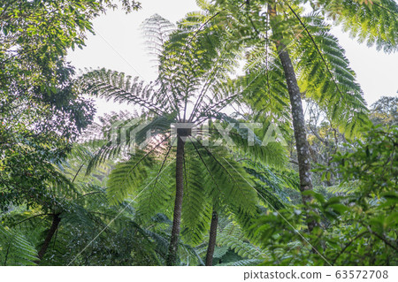 Kim Sogen Kim Sogen 63572708