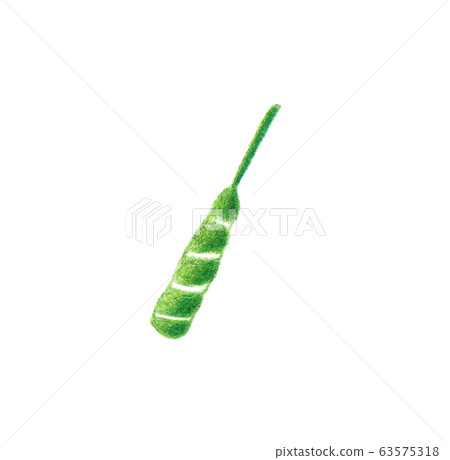 Dad's Festival Zongzi Parts Colored pencil drawing 63575318