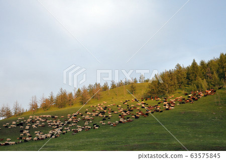 蒙古山在日落時 63575845