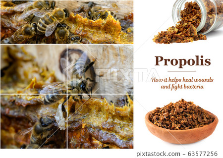 Propolis in the middle of a hive with bees. Bee glue. Bee products. Apitherapy. Propolis treatment. How it helps heal wounds and fight bacteria. Propolis in the middle of a hive with bees. Bee glue. Bee products. Apitherapy. Propolis treatment. How it helps heal wounds and fight bacteria. 63577256